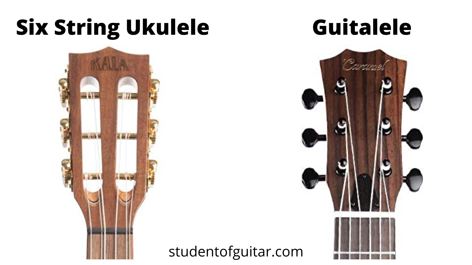 Være pad lærebog Guitalele Vs 6 String Ukulele: What's the Difference? [2022 Guide]