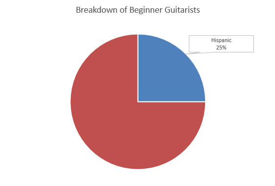 Beginner Guitarists Demographics Ethnicity