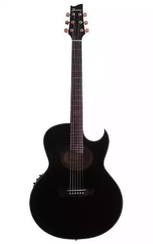 Ibanez Euphoria 5 Acoustic Guitar (Black Pearl)
